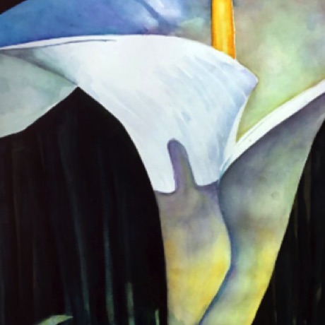 Calla Lilly
30x22 Calla Lilly
30x22